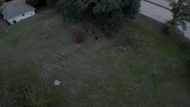 Video Reference: Plant, Road surface, Groundcover, Tree, Grass, Shrub, Landscape, Urban design, Asphalt, Concrete