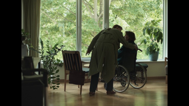 Video Reference: Wheel, Furniture, Plant, Tire, Chair, Window, Wheelchair, Tree, Tints and shades, Leisure