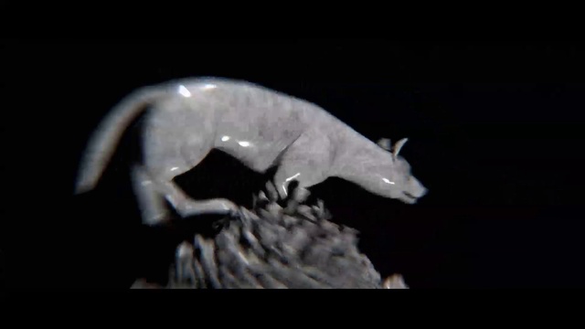 Video Reference: Terrestrial animal, Darkness, Tail, Macro photography, Electric blue, Wildlife, Science, Monochrome photography, Claw, Still life photography