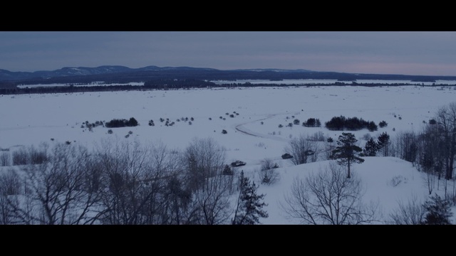 Video Reference: Sky, Plant, Water, Snow, Natural landscape, Plain, Grassland, Horizon, Tree, Grass