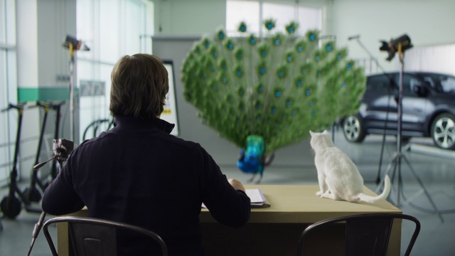 Video Reference: Furniture, Tire, Table, Plant, Organism, Wheel, Leisure, Art, Chair, Tree