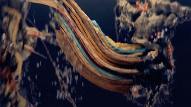 Video Reference: Water, Underwater, Wood, Marine invertebrates, Marine biology, Trunk, Electric blue, Landscape, Sky, Cnidaria