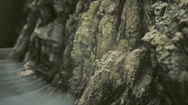 Video Reference: Plant, Wood, Bedrock, Camouflage, Trunk, Military camouflage, Watercourse, Automotive tire, Formation, Grass