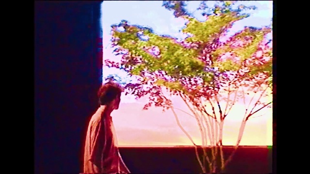 Video Reference: People in nature, Rectangle, Branch, Lighting, Natural landscape, Pink, Magenta, Red, Flower, Sky