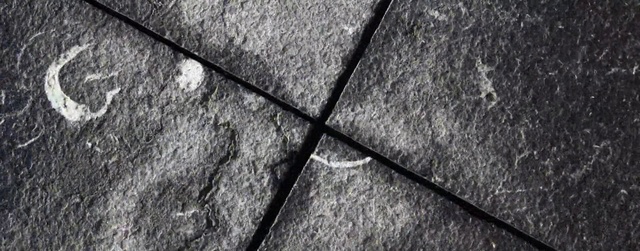 Video Reference: Grey, Road surface, Wood, Asphalt, Tints and shades, Pattern, Automotive tire, Flooring, Monochrome photography, Monochrome