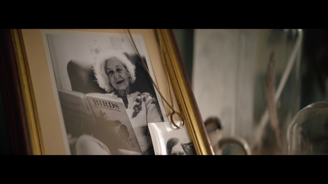 Video Reference: Eyebrow, Art, Font, Automotive design, Flash photography, Event, Musical instrument, Music, Violin family, Visual arts