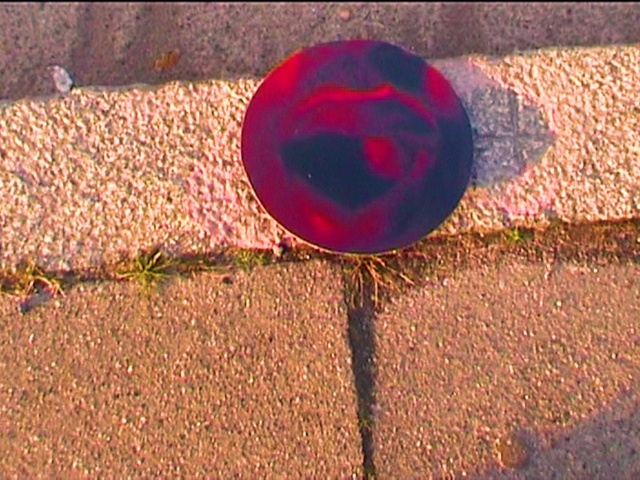 Video Reference: Leaf, Automotive tire, Road surface, Wood, Brick, Asphalt, Wall, Petal, Grass, Tints and shades