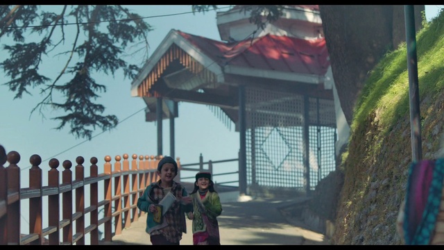 Video Reference: Plant, Sky, Tree, Wood, Biome, Travel, Leisure, Morning, Fence, Fun