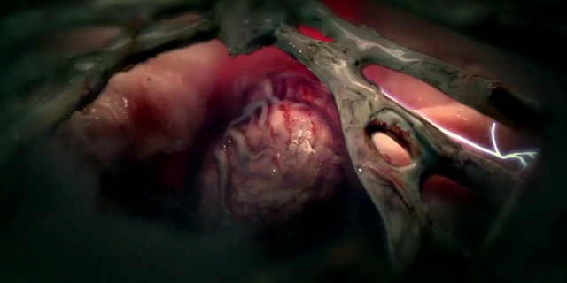 Video Reference: Eye, Human body, Jaw, Snout, Wildlife, Wrinkle, Art, Macro photography, Flesh, Meat