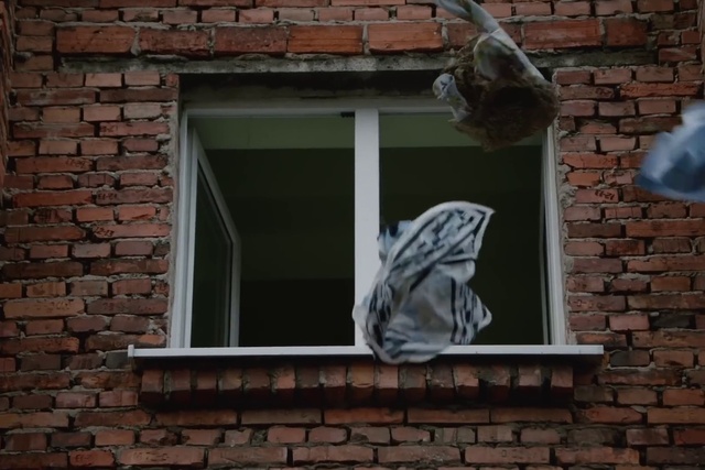 Video Reference: Shoe, Window, Leaf, Wood, Brickwork, Brick, Glove, Building material, Grey, House