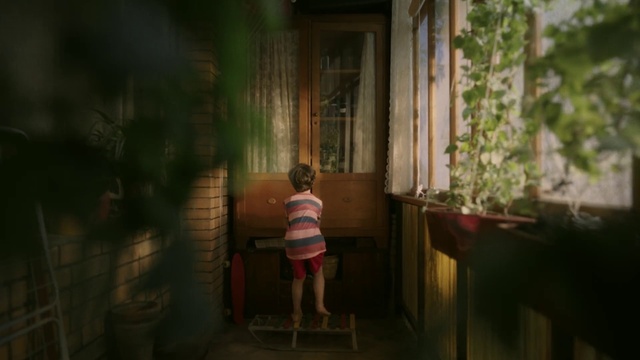 Video Reference: Shorts, Plant, Wood, Building, Tints and shades, Door, House, Flooring, Grass, Fun