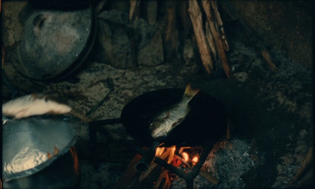 Video Reference: Ash, Cookware and bakeware, Charcoal, Gas, Campfire, Cooking, Heat, Darkness, Wood, Fire