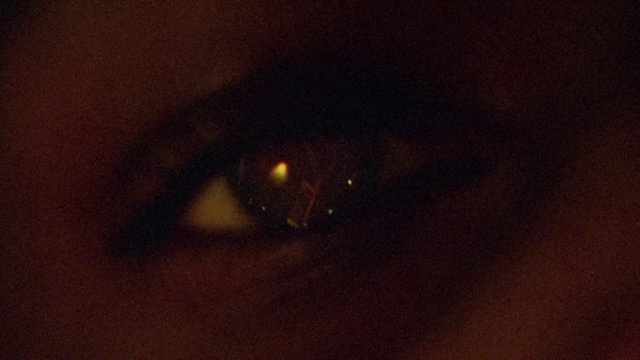 Video Reference: Window, Automotive lighting, Street light, Tints and shades, Sky, Wood, Twig, Water, Heat, Tree