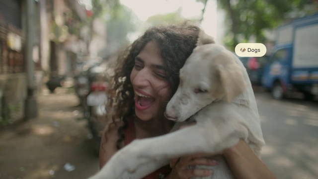Video Reference: Smile, Dog, Carnivore, Gesture, Dog breed, Happy, Fawn, Companion dog, Snout, Working animal