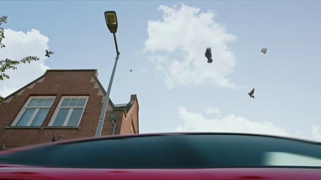 Video Reference: Cloud, Sky, Daytime, Bird, Hood, Window, Vehicle, Motor vehicle, Building, Automotive exterior