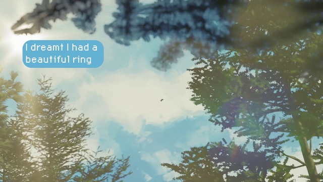 Video Reference: Cloud, Atmosphere, Sky, Ecoregion, World, Natural landscape, Organism, Plant, Tree, Twig