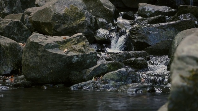 Video Reference: Water, Water resources, Bedrock, Watercourse, Fluvial landforms of streams, Natural landscape, Formation, Grass, Wood, Outcrop