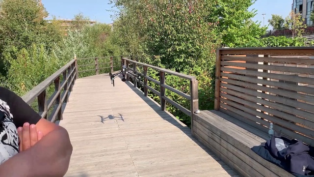 Video Reference: Sky, Wood, Plant, Grass, Tree, Landscape, Hardwood, Leisure, Composite material, Walkway