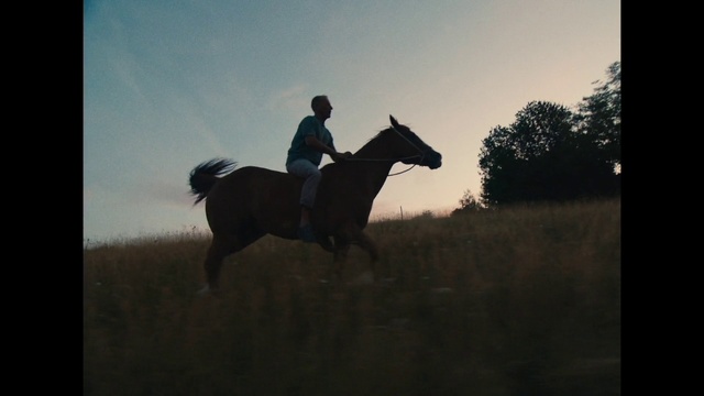 Video Reference: Horse, Sky, Horse tack, Working animal, Halter, Saddle, Flash photography, Bridle, Horse supplies, Plant