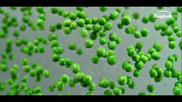 Video Reference: Plant, Organism, Font, Art, Terrestrial plant, Natural foods, Fruit, Gesture, Grass, Pattern