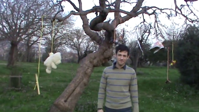 Video Reference: Plant, Sky, Tree, Twig, Gesture, People in nature, Grass, Happy, Flower, Leisure