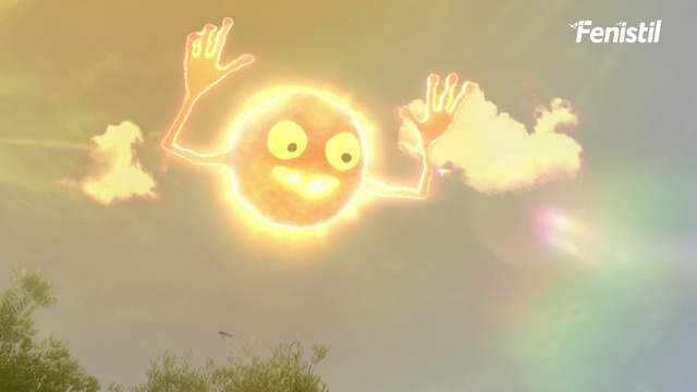 Video Reference: Atmosphere, Sky, Vertebrate, Cloud, Nature, Organism, Happy, Orange, Sunlight, Gesture