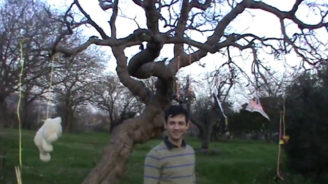 Video Reference: Head, Plant, Sky, Vertebrate, Tree, People in nature, Mammal, Gesture, Happy, Grass