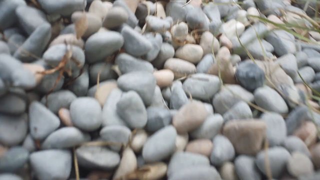 Video Reference: pebbles, stones, rock pile, close-up, texture, abstract, nature, ground, gray stones, beige stones, outdoors, blurred, background
