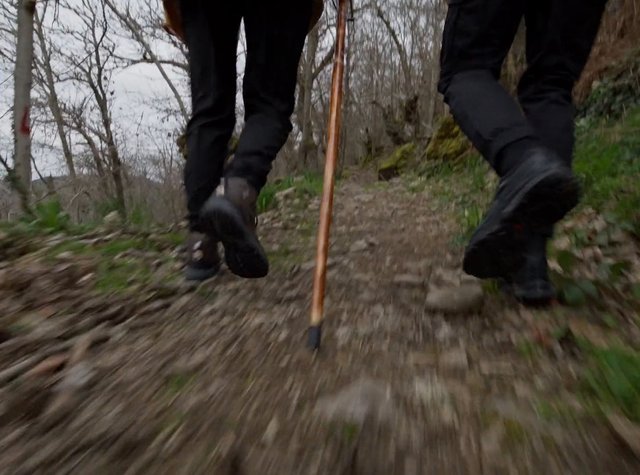 Video Reference: hiking, trail, forest, outdoors, walking, boots, legs, walking stick, rocky path, motion blur, adventure, nature, uphill, trekking