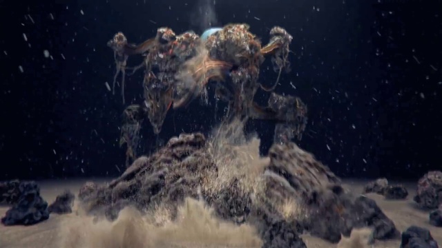 Video Reference: Water, Fluid, Underwater, Marine biology, Event, Electric blue, Science, Wildlife, Reef, Cnidaria