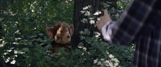 Video Reference: Plant, Vertebrate, Red panda, Felidae, Tree, Wood, Organism, Mammal, Carnivore, Trunk