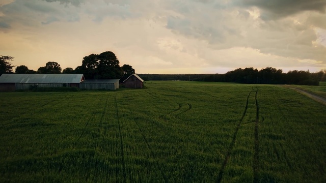 Video Reference: Cloud, Sky, Plant, Tree, Natural landscape, Agriculture, Cumulus, Grass, Plain, Landscape