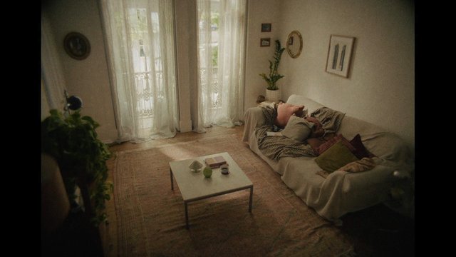 Video Reference: living room, interior, sofa, coffee table, plants, curtains, window, home decor, rug, cozy, sunlight, apartment, minimal, indoor, furniture
