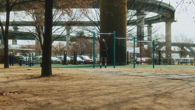 Video Reference: Plant, Shade, Tree, Public space, Wood, Leisure, Tints and shades, Building, City, Wheel