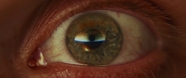 Video Reference: Brown, Eyelash, Wood, Nerve, Close-up, Wrinkle, Circle, Electric blue, Macro photography, Flesh