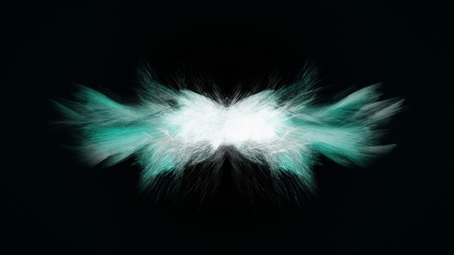 Video Reference: Feather, Petal, Art, Font, Electric blue, Wing, Fashion accessory, Event, Darkness, Fur