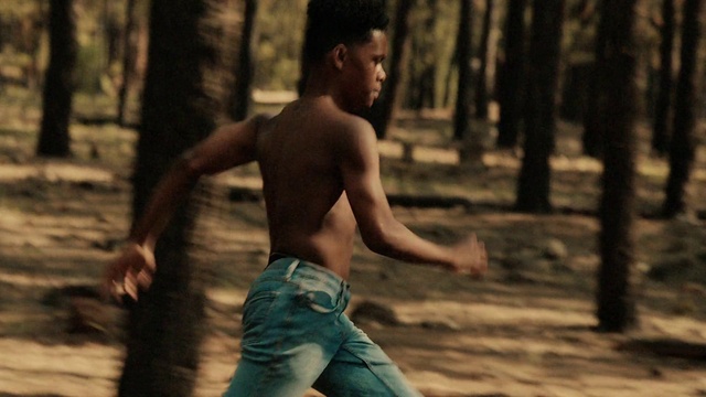 Video Reference: People in nature, Natural environment, Flash photography, Human body, Wood, Tree, Sunlight, Happy, Trunk, Hat