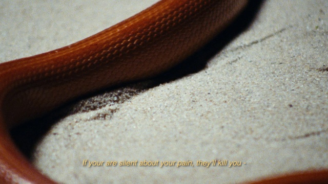 Video Reference: Wood, Tints and shades, Automotive tire, Scaled reptile, Rim, Jewellery, Audio equipment, Wrist, Fashion accessory, Cable