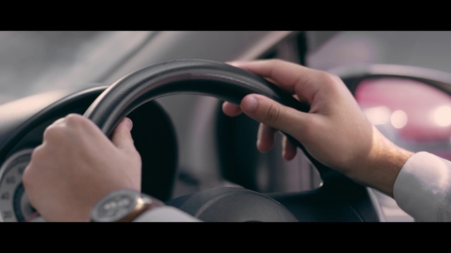 Video Reference: Hand, Car, Vehicle, Plant, Steering part, Hood, Automotive mirror, Motor vehicle, Automotive lighting, Window