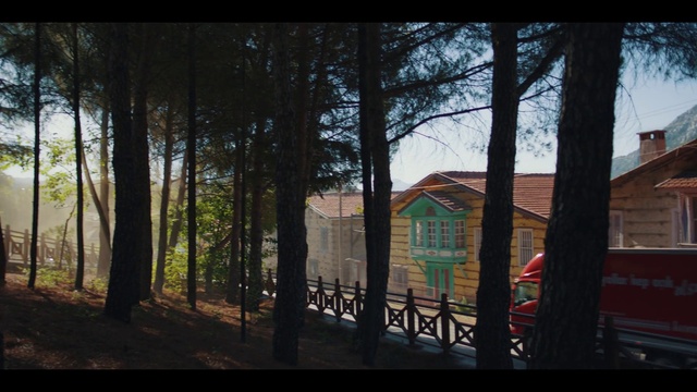 Video Reference: Sky, Tree, Wood, Shade, Building, Plant, Window, Cottage, Tints and shades, Trunk