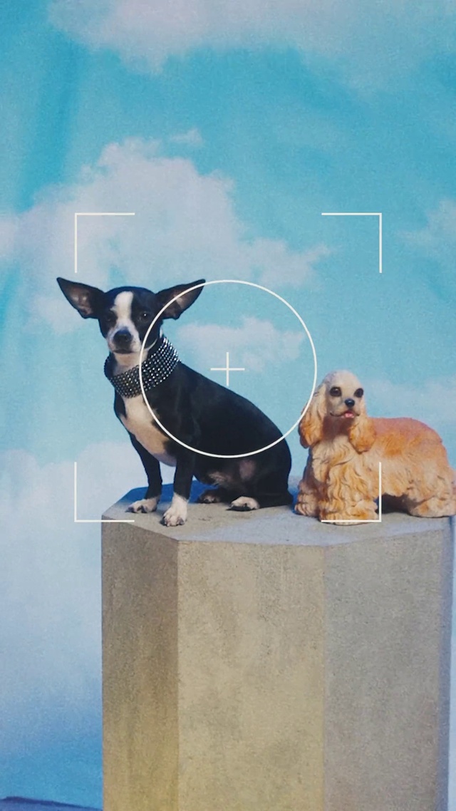 Video Reference: Cloud, Sky, Dog, Dog breed, Working animal, Carnivore, Mammal, Fawn, Art, Sculpture