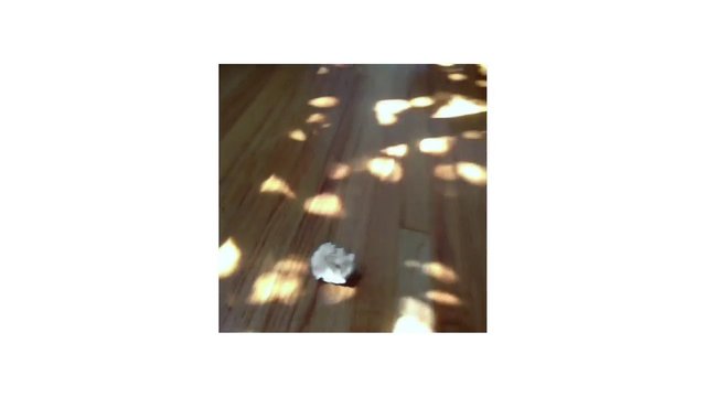 Video Reference: wooden floor, sunlight, shadows, crumpled paper, indoor, floor, debris, minimal, abstract, texture
