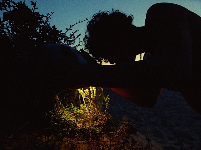 Video Reference: Sky, People in nature, Plant, Natural environment, Natural landscape, Gesture, Flash photography, Grass, Sunlight, Biome