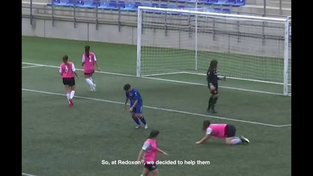 Video Reference: Soccer, Sports equipment, Plant, Shorts, Grass, Football player, Championship, Soccer ball, Player, Competition event