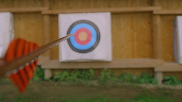 Video Reference: Plant, Archery, Target archery, Precision sports, Wood, Field archery, Grass, Arrow, Paint, Recreation