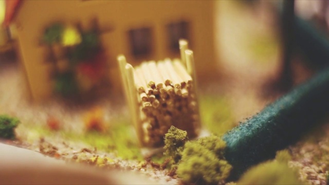 Video Reference: Plant, Wood, Grass, Terrestrial plant, Macro photography, Tree, Art, Soil, Non-vascular land plant, Plant stem