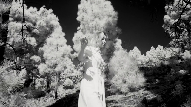 Video Reference: Plant, Cloud, Sky, People in nature, Flash photography, Branch, Gesture, Black-and-white, Dress, Happy