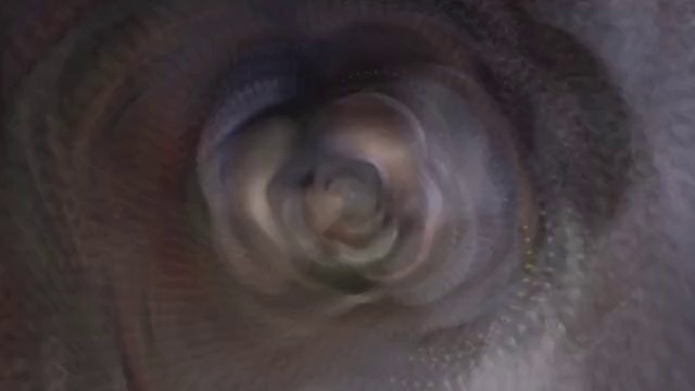 Video Reference: Eye, Human body, Iris, Tree, Wood, Painting, Eyelash, Art, Flash photography, Spiral