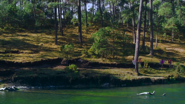 Video Reference: Plant, Water, Water resources, Natural landscape, Tree, Land lot, Watercourse, Fluvial landforms of streams, Lake, Bank