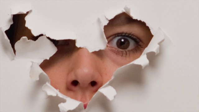 Video Reference: Head, Eyebrow, Eyelash, Mouth, Jaw, Neck, Iris, Toy, Art, Snout